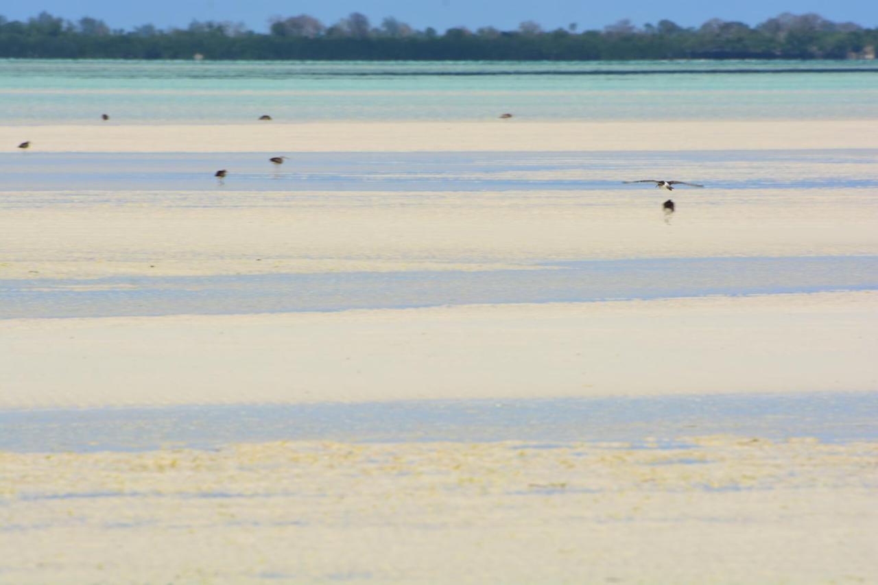 Emerald Bay Resort Kizungu المظهر الخارجي الصورة