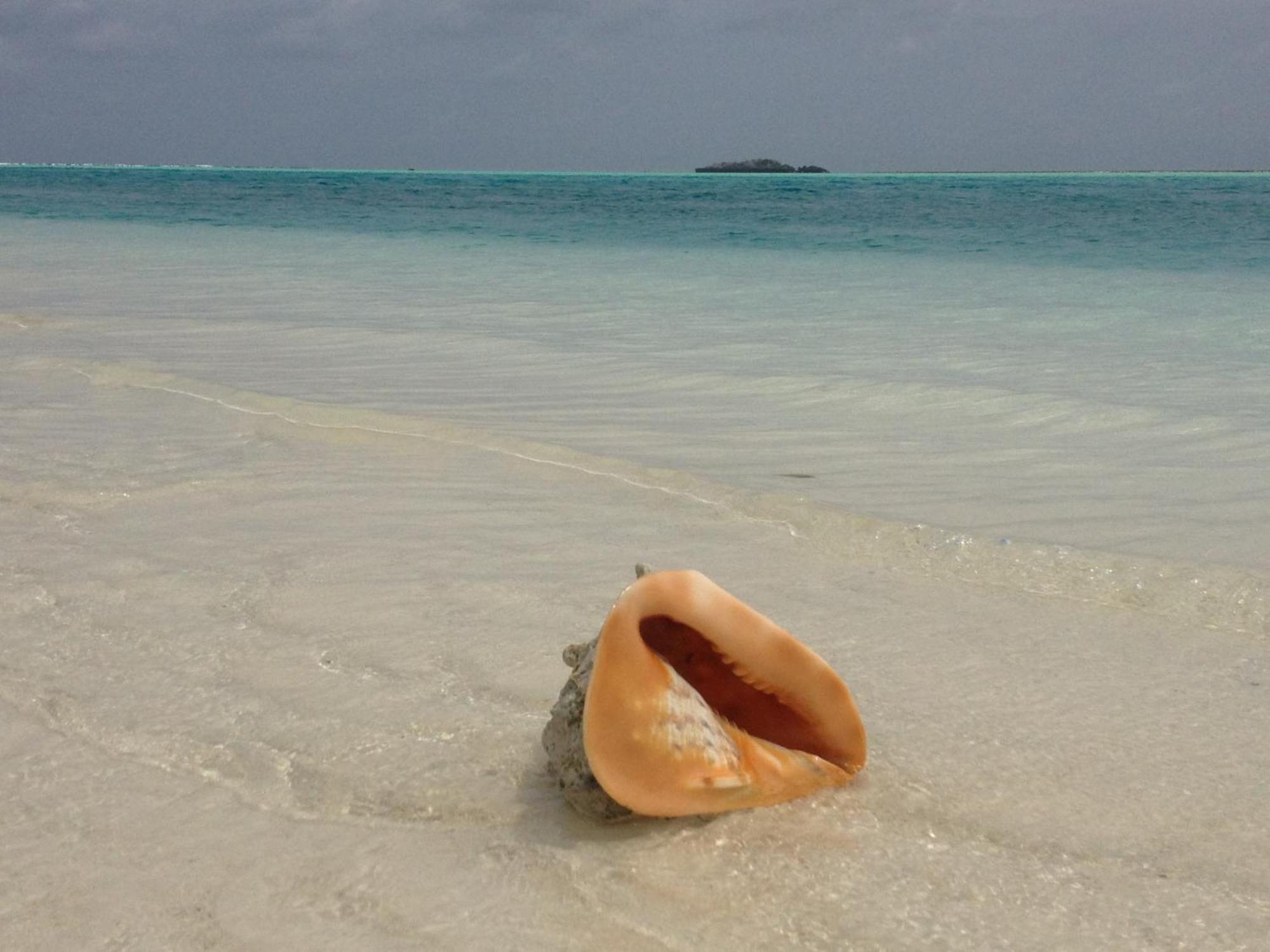 Emerald Bay Resort Kizungu المظهر الخارجي الصورة